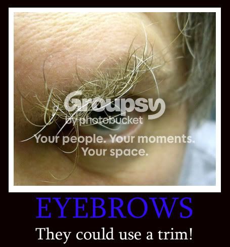 eyebrows